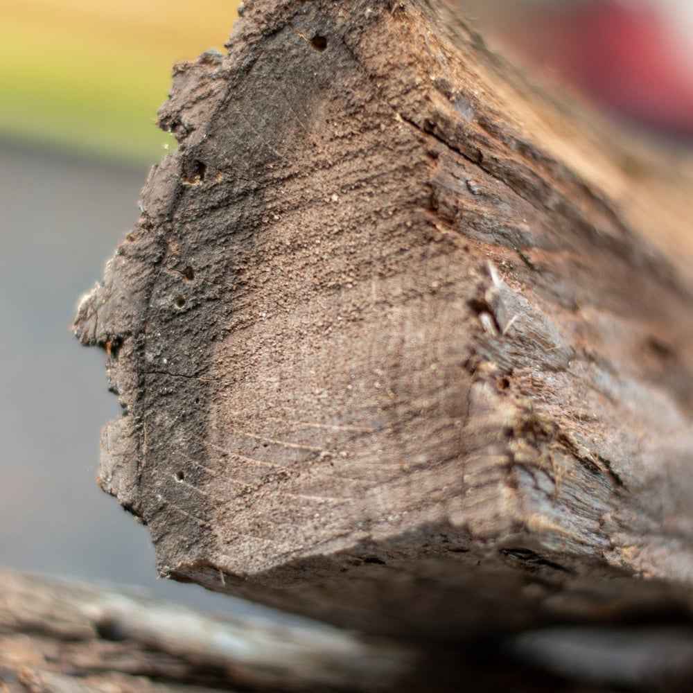 Premium Kiln-Dried Mesquite Firewood